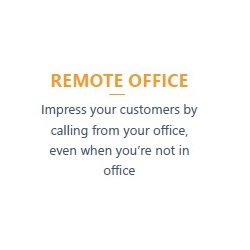 Remote Office