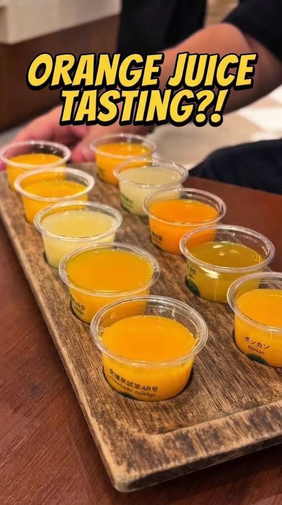 The Creative Orange Juice Experience Maxis Fiber