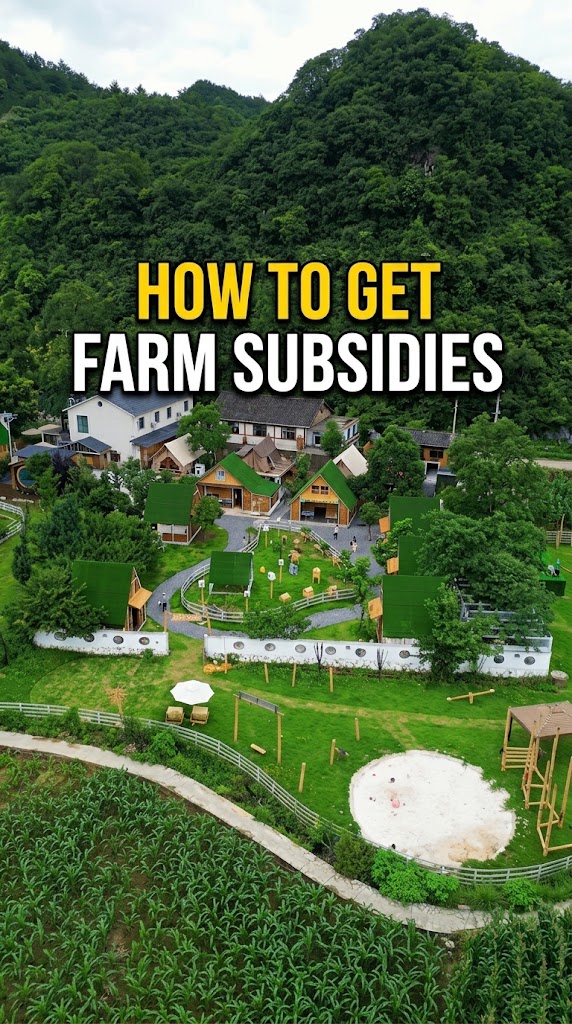 Essential Guide to Family Farm Maxis Fibre